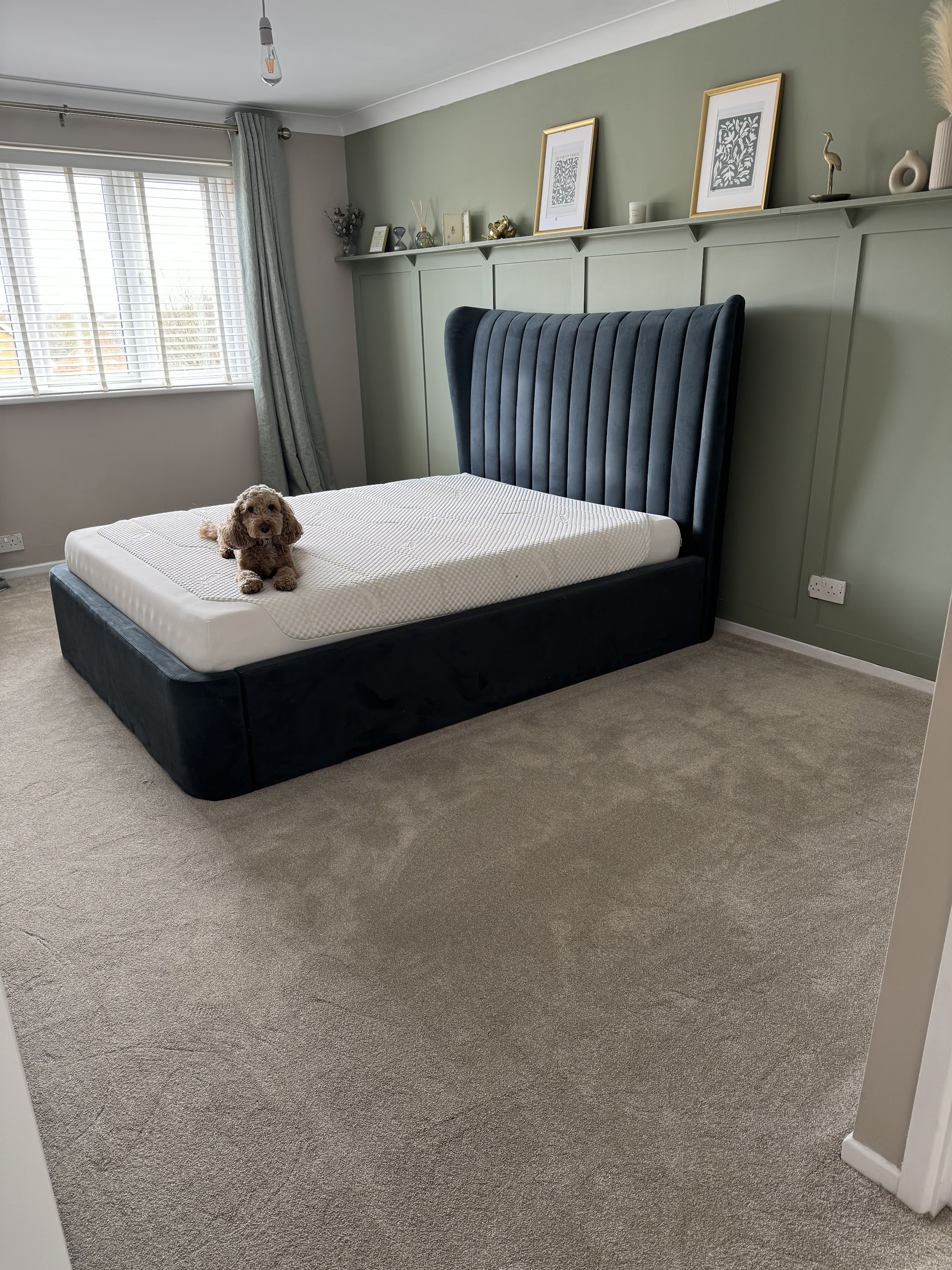 Grey carpet in a customer's bedroom, a dog sitting on the bed
